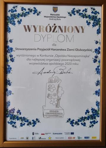Opolska Niezapominajka 2020